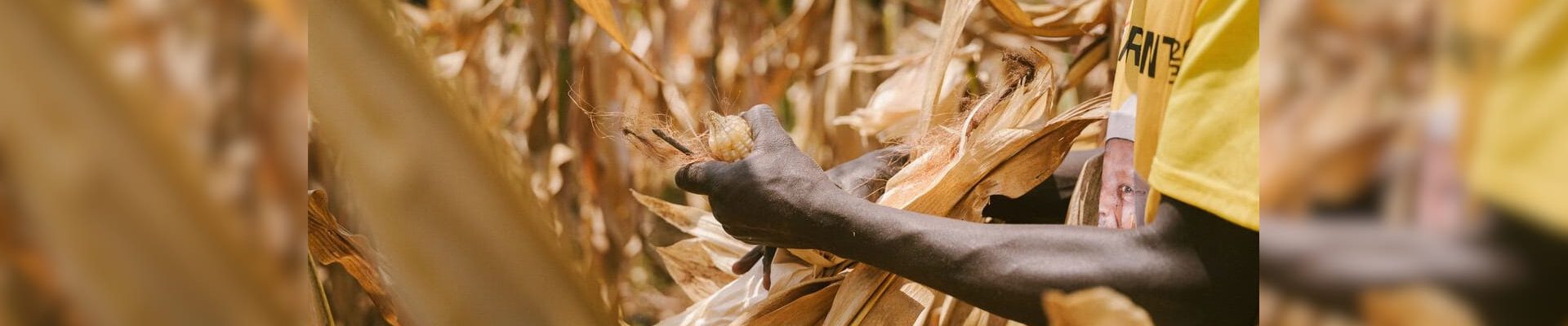 Sustainable Agriculture